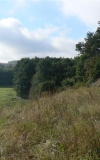 most-w-glaznotach-6