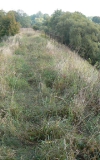 most-w-glaznotach-9