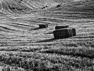 miroslaw-kazmierczak-2010-fotografia-cz-b-1