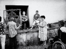 kudlacz_michal_wieniec-02