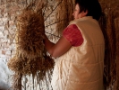 wieniec_anna_kornackal002-custom