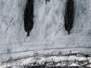 zwierz-2007-pastel-na-papierze-ilustracja-do-tomu-atrament-b-kosa-custom